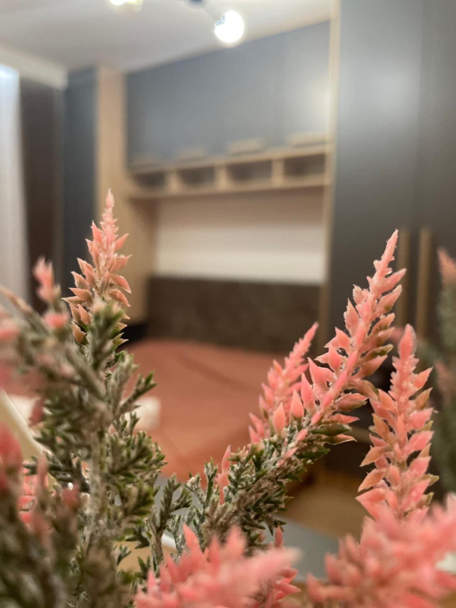 Daf Apartaments Prisztina Zewnętrze zdjęcie